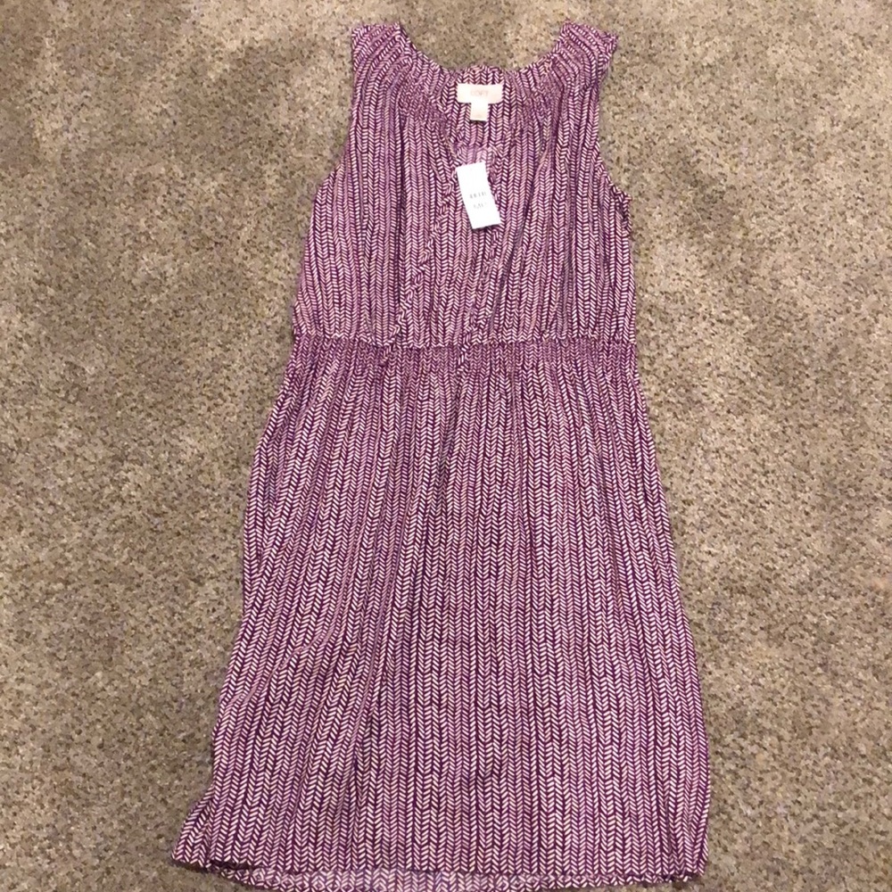 Loft professional dress